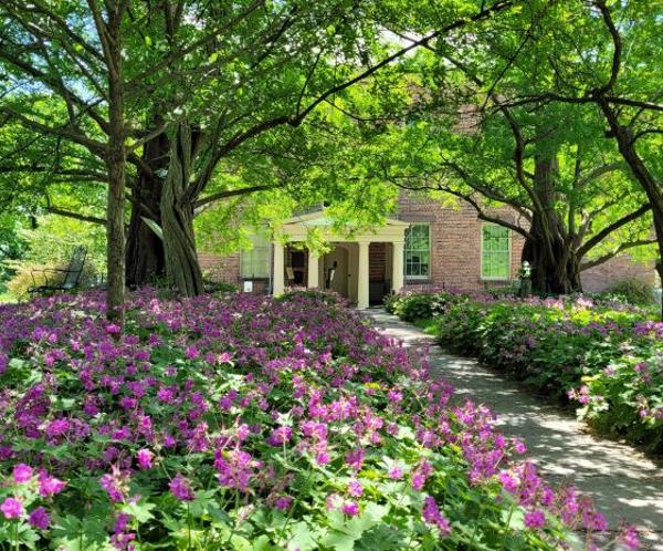 The Mayor’s Garden: History of the Ten Broeck Mansion Gardens & Workers
